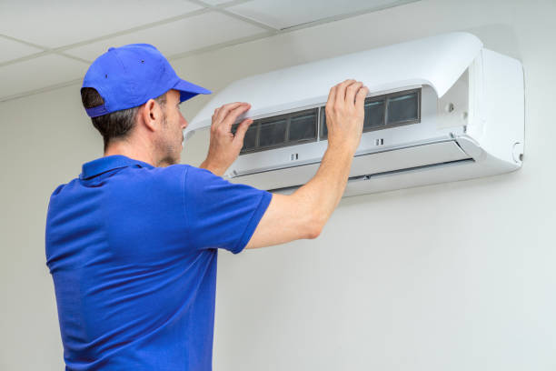 Best Air Duct Sanitizing Services  in Ragland, AL